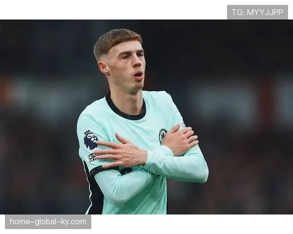 切尔西帕尔默前场创造力受限,进攻组织缺乏层次感分析 切尔西帕尔默前场创造力受限,进攻组织缺乏层次感分析